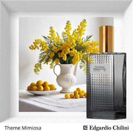 Theme Mimosa Edgardio Chilini