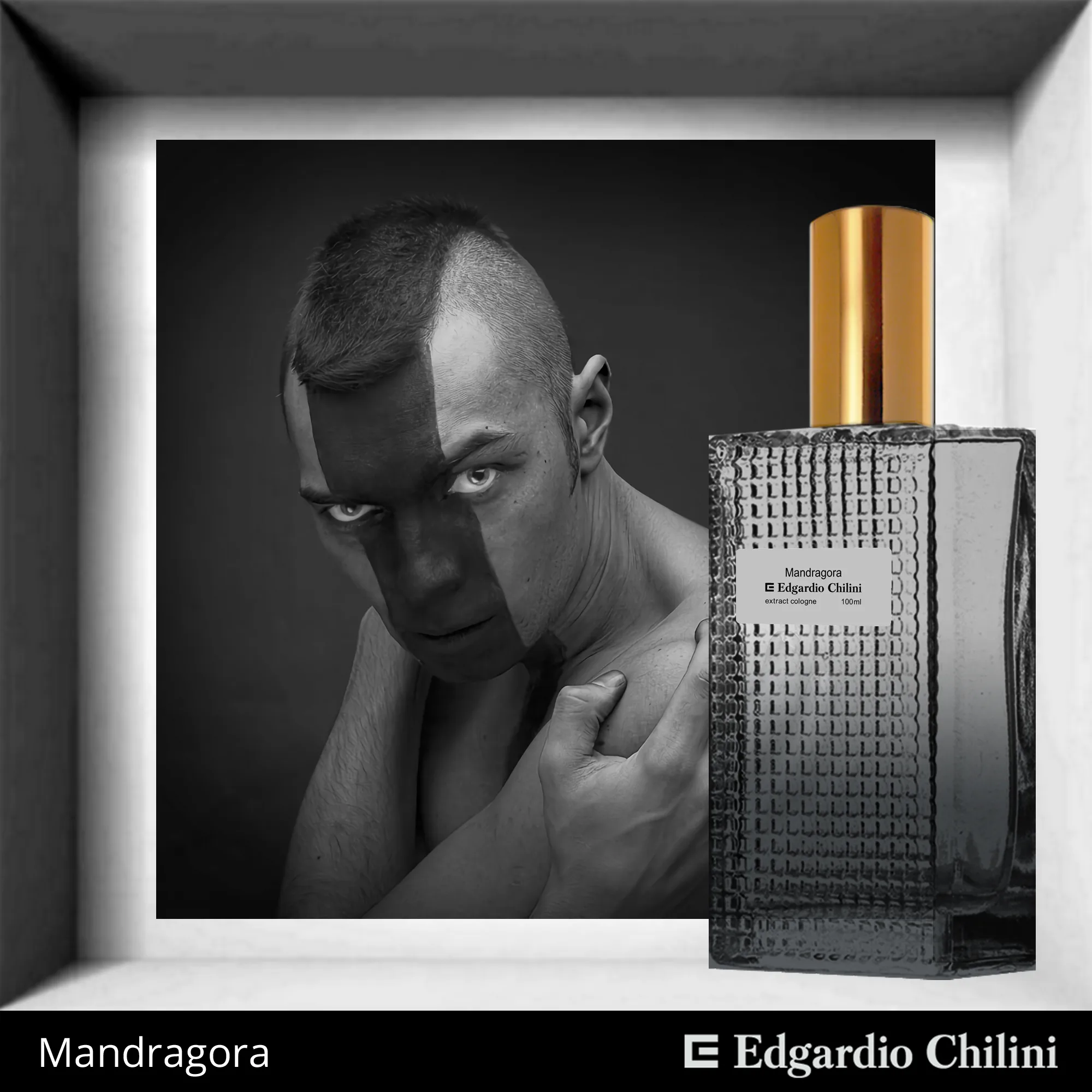 Mandragora — художественный постер аромата, Edgardio Chilini