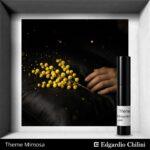 Theme Mimosa, постер, Edgardio Chilini