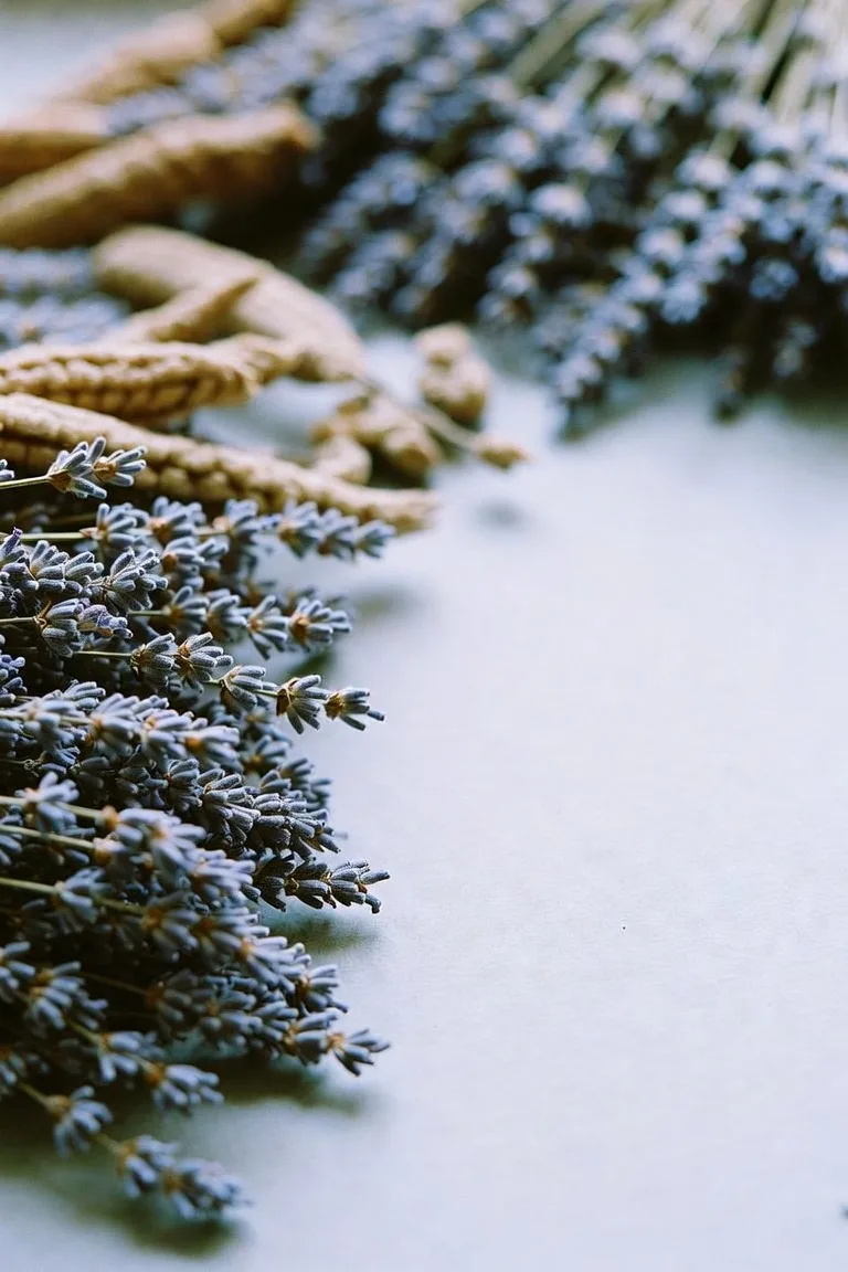 Sublime Lavender — парфюмерная композиция и ингредиенты аромата, Edgardio Chilini