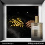 Theme Mimosa, постер, духи, 100 мл, Edgardio Chilini
